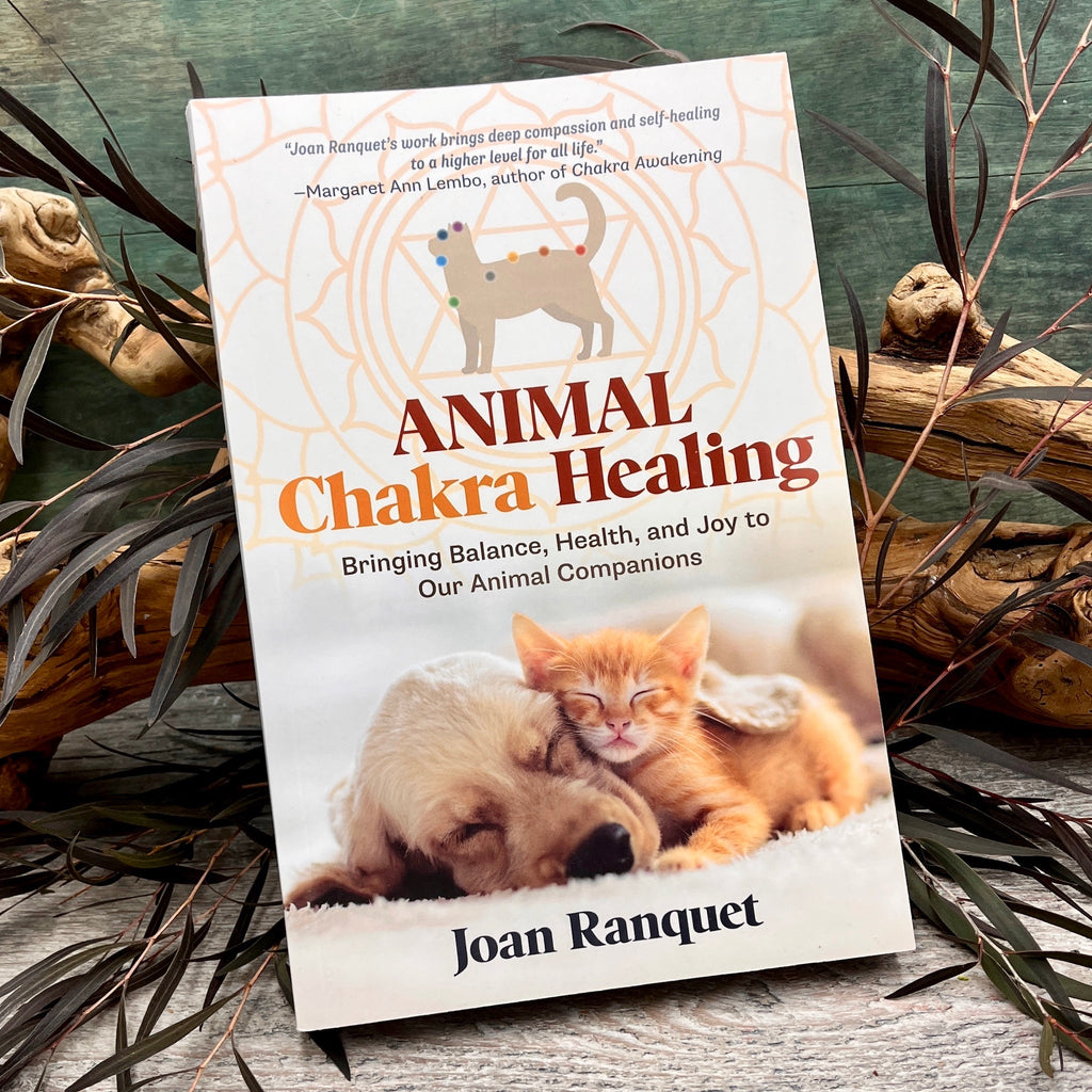 Animal Chakra Healing: Bringing Balance, Health, and Joy to Our Animal Companions