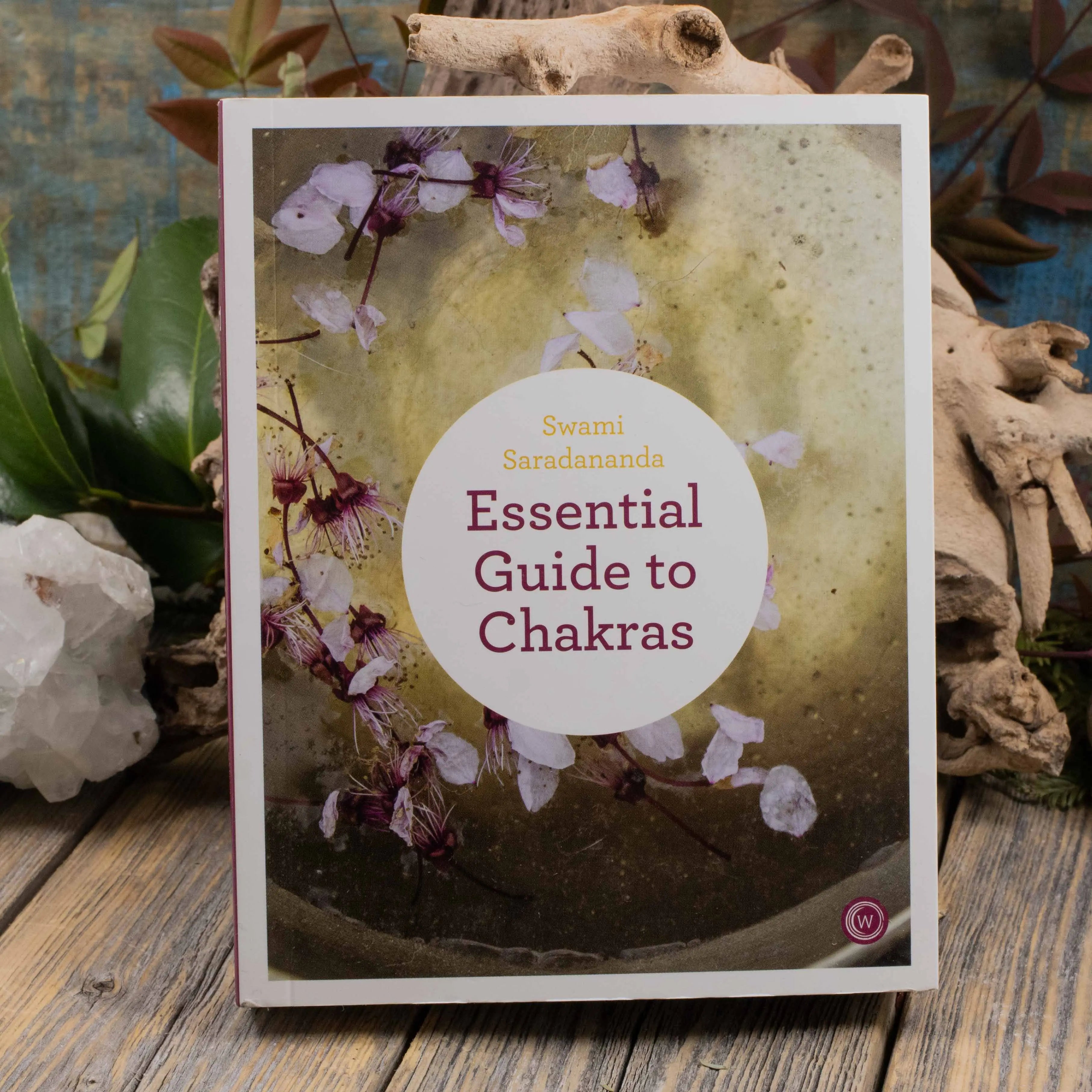 Essential Guide to Chakras